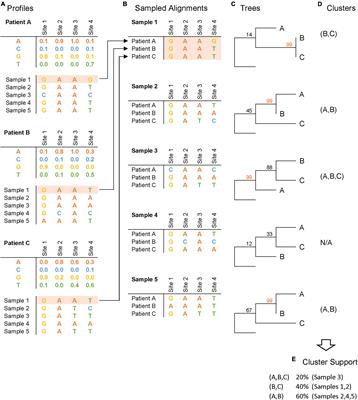 Incorporating Within-Host Diversity in Phylogenetic Analyses for Detecting Clusters of New HIV Diagnoses